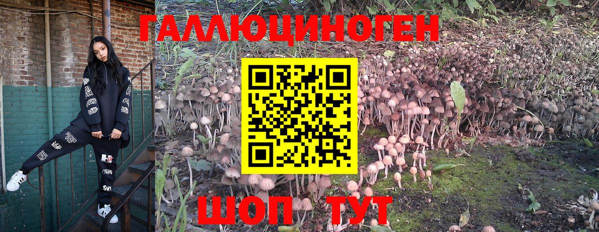 Солнечногорск  Псилоцибиновые грибы прущие грибы  что такое наркотик  Галлюциногенные грибы Cubensis  Вход с VPN 