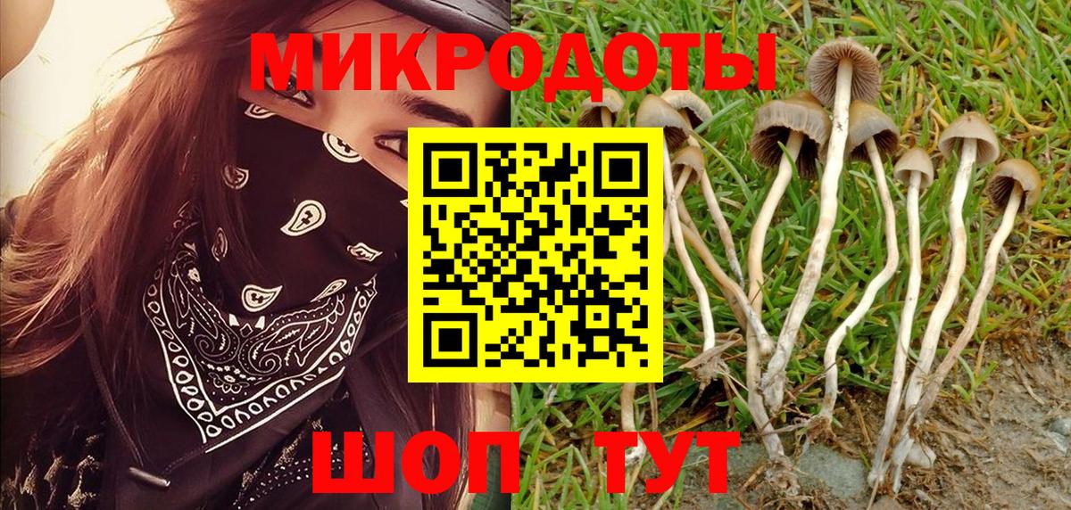 Галлюциногенные грибы мицелий Солнечногорск