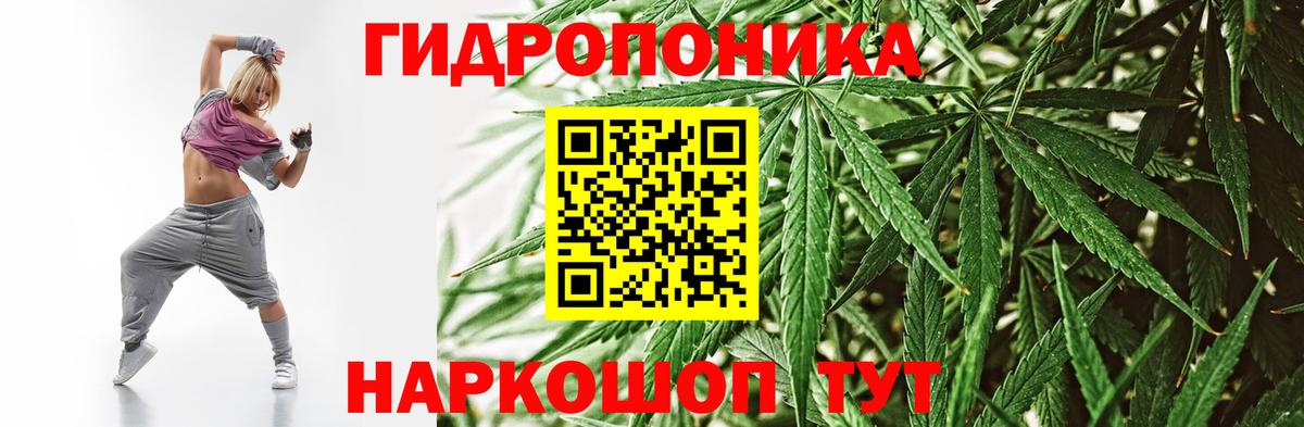 Бошки Шишки тримм  Конопля OG Kush  Каннабис VHQ  Конопля AK-47  Вход с VPN  Солнечногорск 